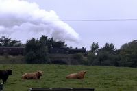 Hellifield Green 2 - Chris Taylor